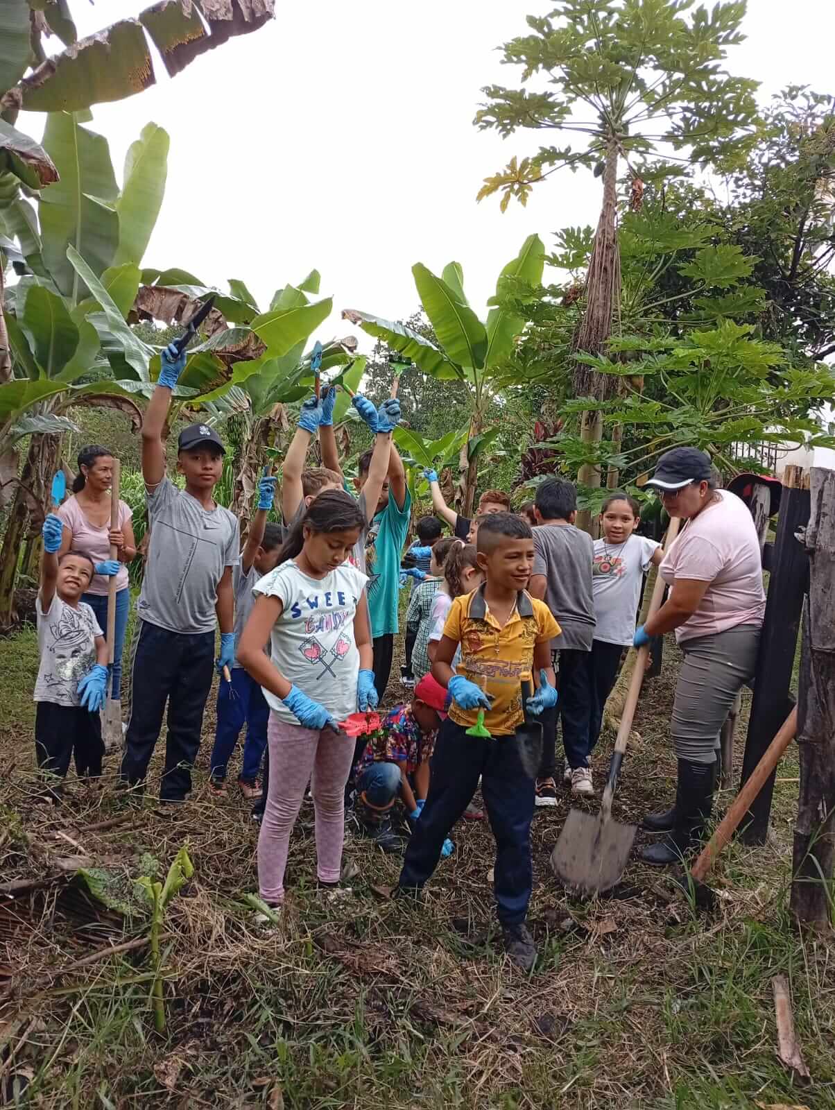Galería de la fundación Amanecer Subud