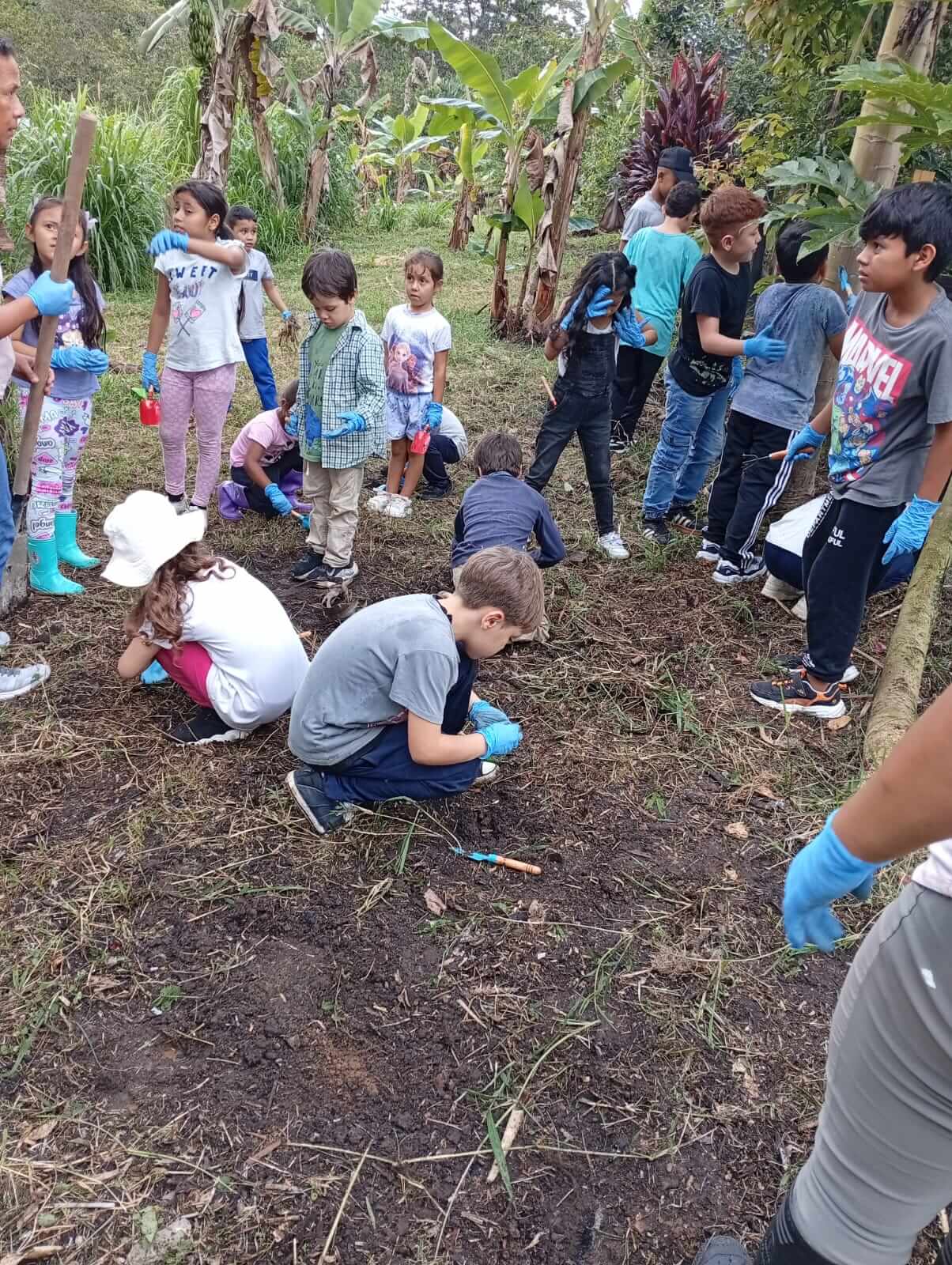 Galería de la fundación Amanecer Subud