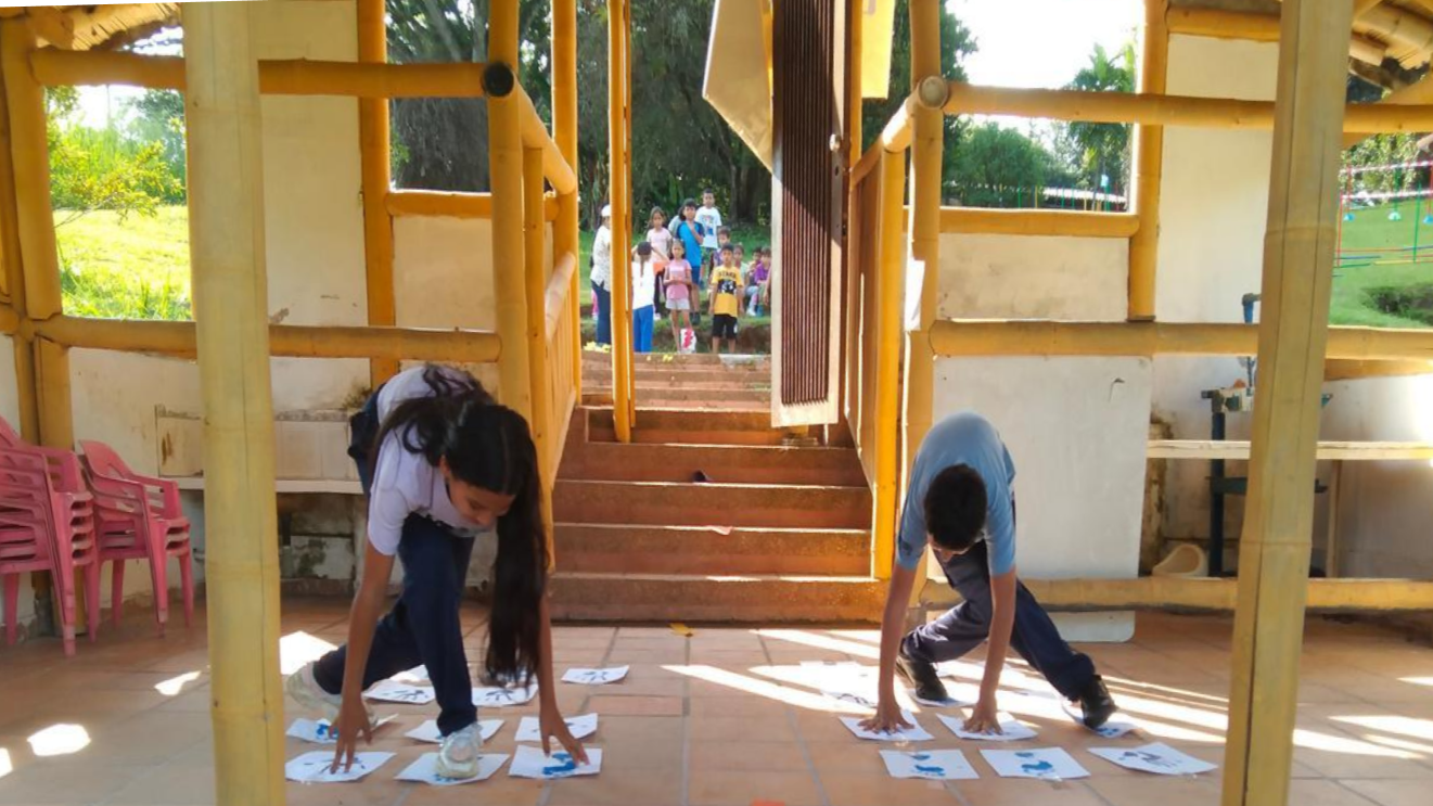 Observación de aves y actividades naturales